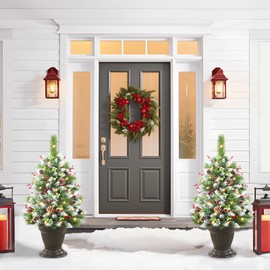 Set of 2 24.5 Inch Pre-lit Outdoor Christmas Tree with Remote, Timer, Multi-Color Lights, Battery Operated Lighted Frosted Christmas Pathway Urn Filler, Christmas Porch Decorations for Home & Yard