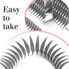 Premade Spire Eyelashes Manga Lash Fans C/D Curl Anime Spiky