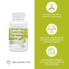 HEALTHADDICTION - Complejo de Espirulina, Chlorella y Moringa, Suplemento Alimenticio