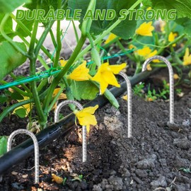 12 Inch Rebar Ground Stakes,J Hook Heavy Duty Galvanized Ground Anchors Rebar Tent Stakes 12 Pack for Feed Garden Trampoline Tarps And Yard Art Camping Tents Swings Football Nets Nflatable Decorations