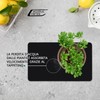 Creative Corner Saugfähige Küchenmatte aus Kieselgur - Abtropfmatte für Geschirr,