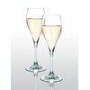 Toyo Sasaki Glass 30M70CS-L001 Champagne Glass with Foaming Function, 7.1