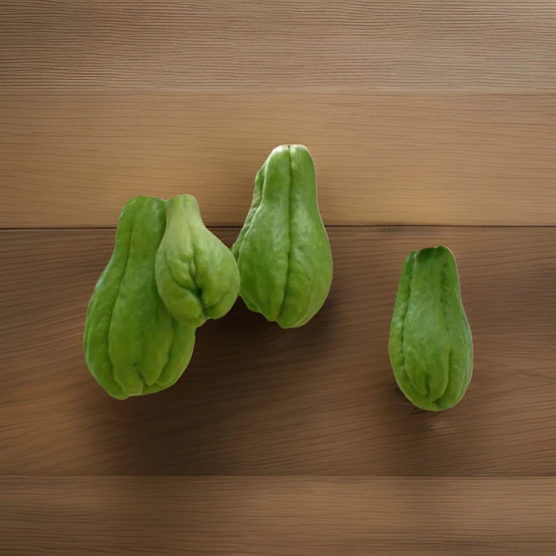 2 Sprouted Chayote Squash Mirliton Live Plant Ready To Plant