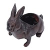 Rabbit Planter Animal Shaped Cartoon Succulent Plant Pot Garden Decoration