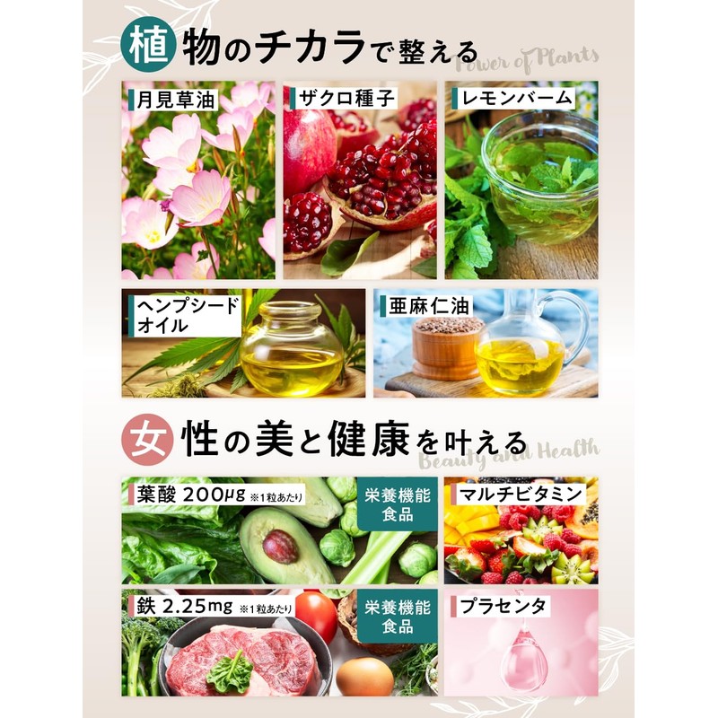 【2袋セット】ILUS ルナハーブ チェストツリーサプリ（チェストベリー） 鉄 葉酸 ハーブ 30日分