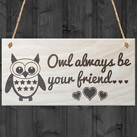 Red Ocean Owl Always Be Your Friend Novelty Best Friends Love Friendship Cute Wooden Hanging Plaque Gift Sign