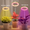 Unbranded Round LED Grow Light Ring Full Spectrum Lamp For