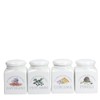 PORCELLANA Conserva Turmeric Container 180ml