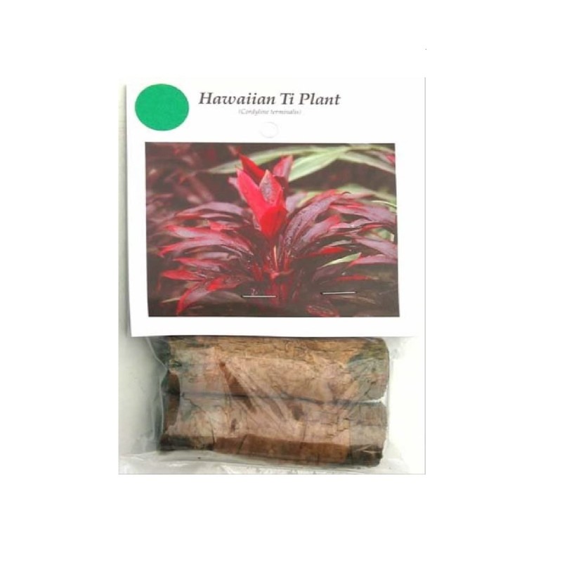 Hawaiian Ti Plant, Cordyline Terminalis, Log for Planting