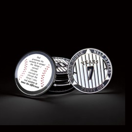 17 Year AA Medallion Pinstripe Yearly Alcoholics Anonymous chip w/Coin Holder