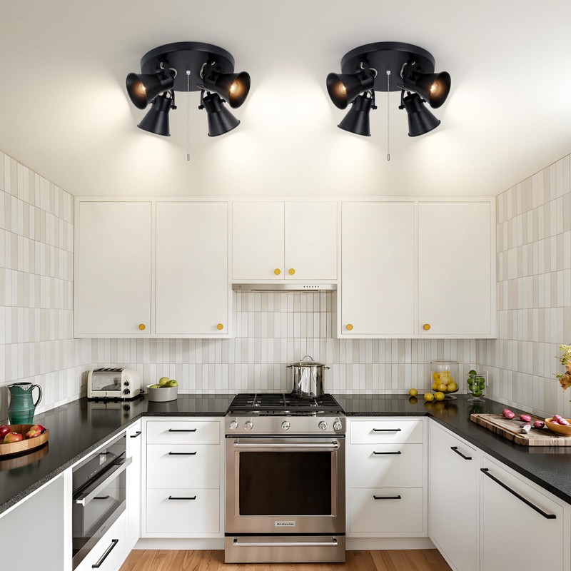 SEEBLEN 4-Light Industrial Track Lighting with Pull Chain On/Off Switch,