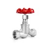 3/4" NPT Stainless Steel S-Type Globe Valve, Accurately Adjust Flow