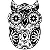CafePress Sugar Skull Owl Rectangle Bumper Sticker Car Decal