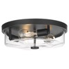 Luminzone Flush Mount Ceiling Light with Clear Glass Shade, 3-Light