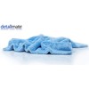 detailmate Set for professional paint cleaning from ValetPro cleaning clay