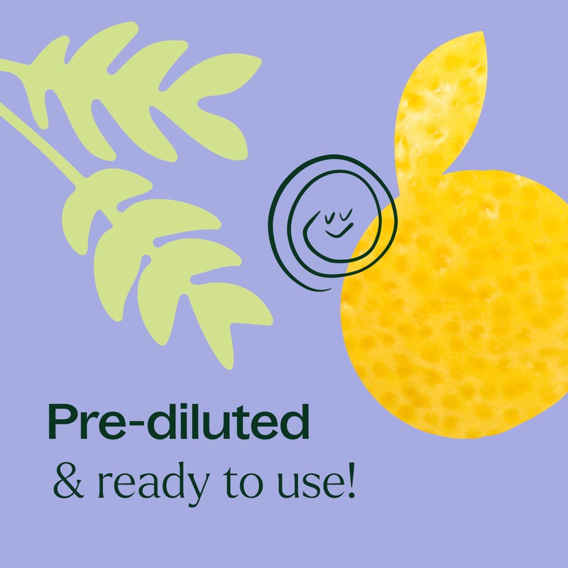 Plant Therapy Plant Therapy KidSafe Study Time Essential Oil Blend