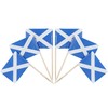 QQSD Scotland Toothpick Flag Scottish Small Mini Cupcake Topper Flags,100