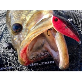 Booyah Hard Knocker Bass Fishing Crankbait Lure