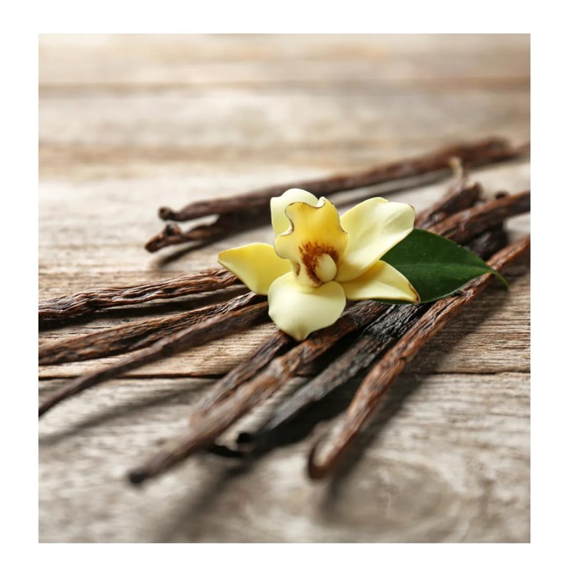 Warm Birch Woods Long-Lasting Scented JAR Candle (18 OZ)-2PACK, Gray