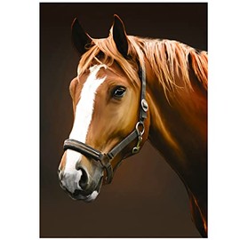 NAIMOER Horse Diamond Painting Kits for Adults, Full Drill Diamond Painting Horse DIY 5d Animals Diamond Painting Kits for Adults Home Wall Decoration (11.8×15.7inch)