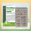 Theanine Benefits Theanine Rhodiola Theanine 60 tablets 2 months supply
