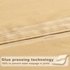 SUNNY GUARD 10'x10'x14' Waterproof Shade Sail 95% UV Block Outdoor
