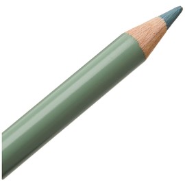 Faber-Castell Polychromos Artists' Single Pencil - Colour 172 Earth Green