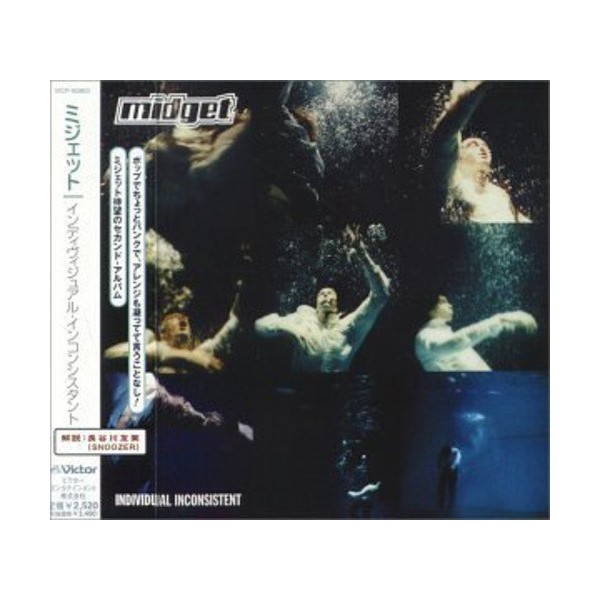 インディヴィジュアル・インコン