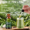 Soursop Graviola Liquid Drops 2000mg, 98% Absorption for Cell Support