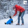 RC Pet Products Cascade Dog Coat, Essential All Weather Dog