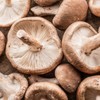 100% 국산 표고버섯가루 45g 100% Domestic Shiitake Mushroom Powder 45g