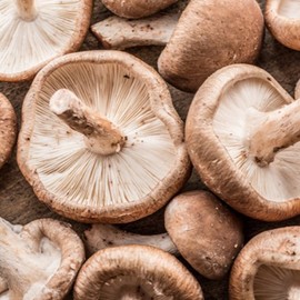 100% 국산 표고버섯가루 45g 100% Domestic Shiitake Mushroom Powder 45g