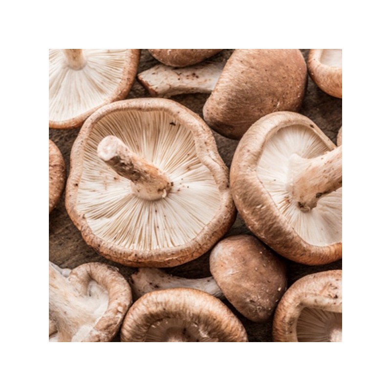 100% 국산 표고버섯가루 45g 100% Domestic Shiitake Mushroom Powder 45g