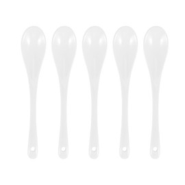 Geieold Set of 5 Ceramic Spoons Tea Spoon Jam Honey