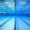 SWAVE Swipe SWIPE Mirrored Lens Swimming Goggles for Men Women