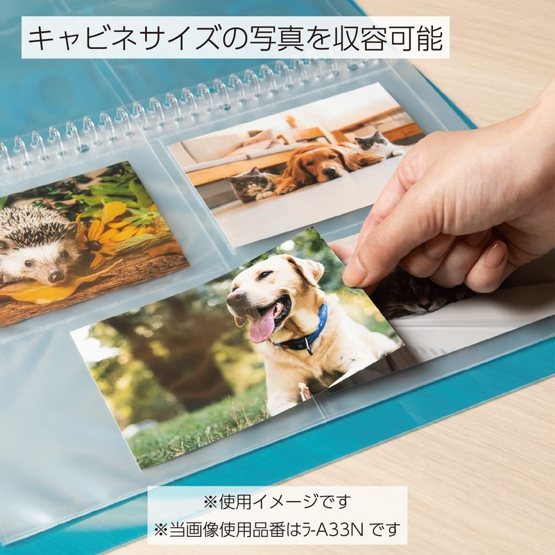 Kokuyo Ra-A21N Parent Pocket File Replacement Paper, 1 Pocket, A4,