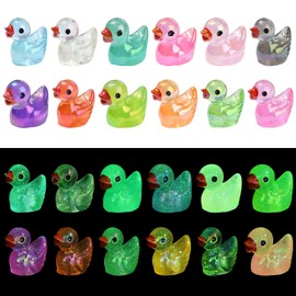Airssory 20 pcs Mixed Colors Lovely Duck Acrylic Beads Animal Luminous Beads Glow in The Dark for DIY Jewellery Bracelet Necklace Earring Crafts Bag Keychain Decor