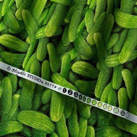 Elizabeth's Studio New Food Festival Cucumber, Yard, Green