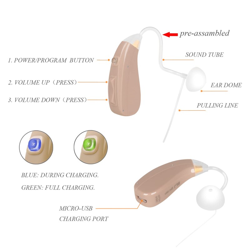 Banglijian Hearing Aid Ziv-201A Rechargeable Digital Noise Cancelling Small Size