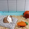 3 Pieces Small Animal Plush Bed Warm Fluffy Puppy Blanket