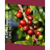 La Cumbre Specialty Coffee Whole Bean Medium Roast, Arabica Beans,
