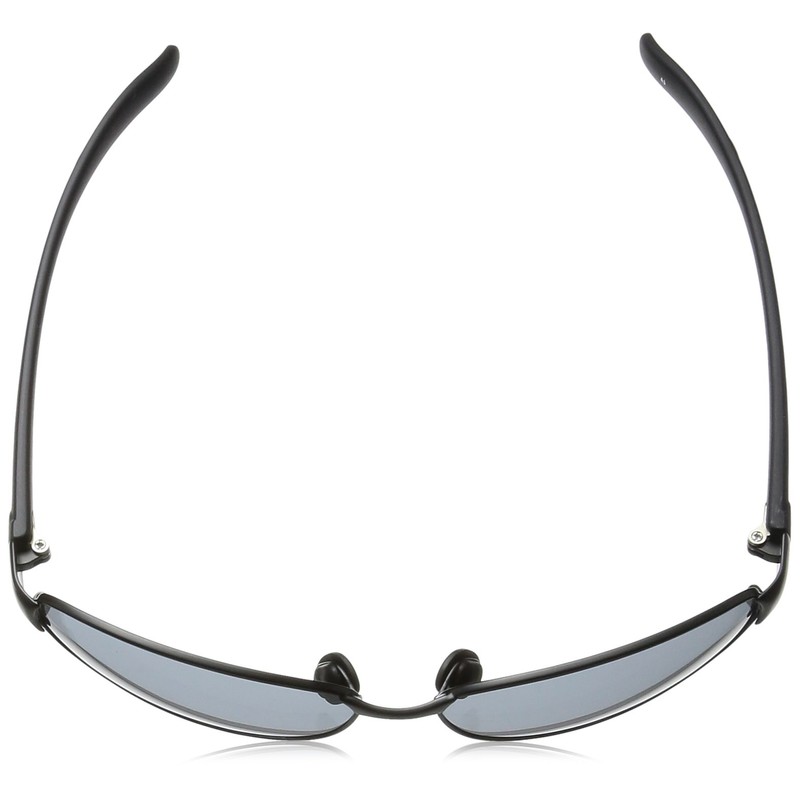 Fieldgate Sunglasses 6479 Men's Smoke Japan Free Size