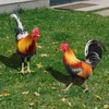 Metal Chicken - Chicken Metal Garden Art,Spring Outdoor Decorations, Set