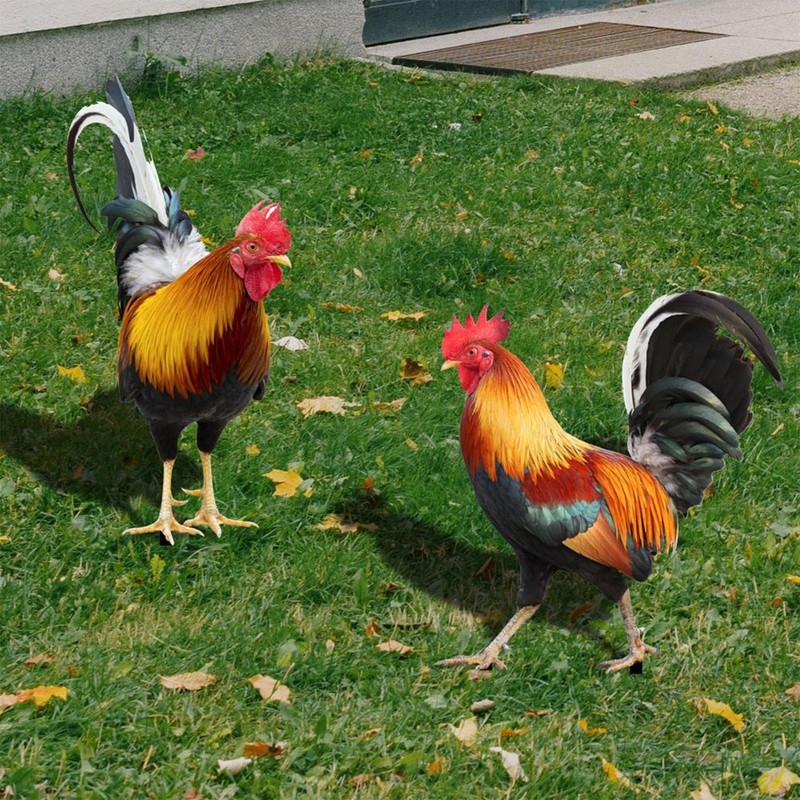 Metal Chicken - Chicken Metal Garden Art,Spring Outdoor Decorations, Set