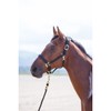 Shires Topaz Nylon Pony/Horse Headcollar - Black Cob