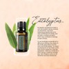 doTERRA Eucalyptus Radiata Essential Oil - 15 mL