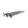 Galvanised Clout Nails Extra Large Head - 20mm Length (Pack