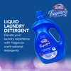 Clorox Fraganzia Liquid Laundry Detergent in Lavendar Scent - HE