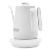 Haden 0.6-Liter Stainless Steel Electric Kettle, Gooseneck Hot Water Kettle