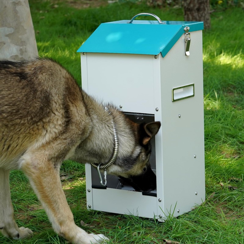 HHNIULI Galvanized Gravity Automatic Dog Feeder with A Stainless Steel
